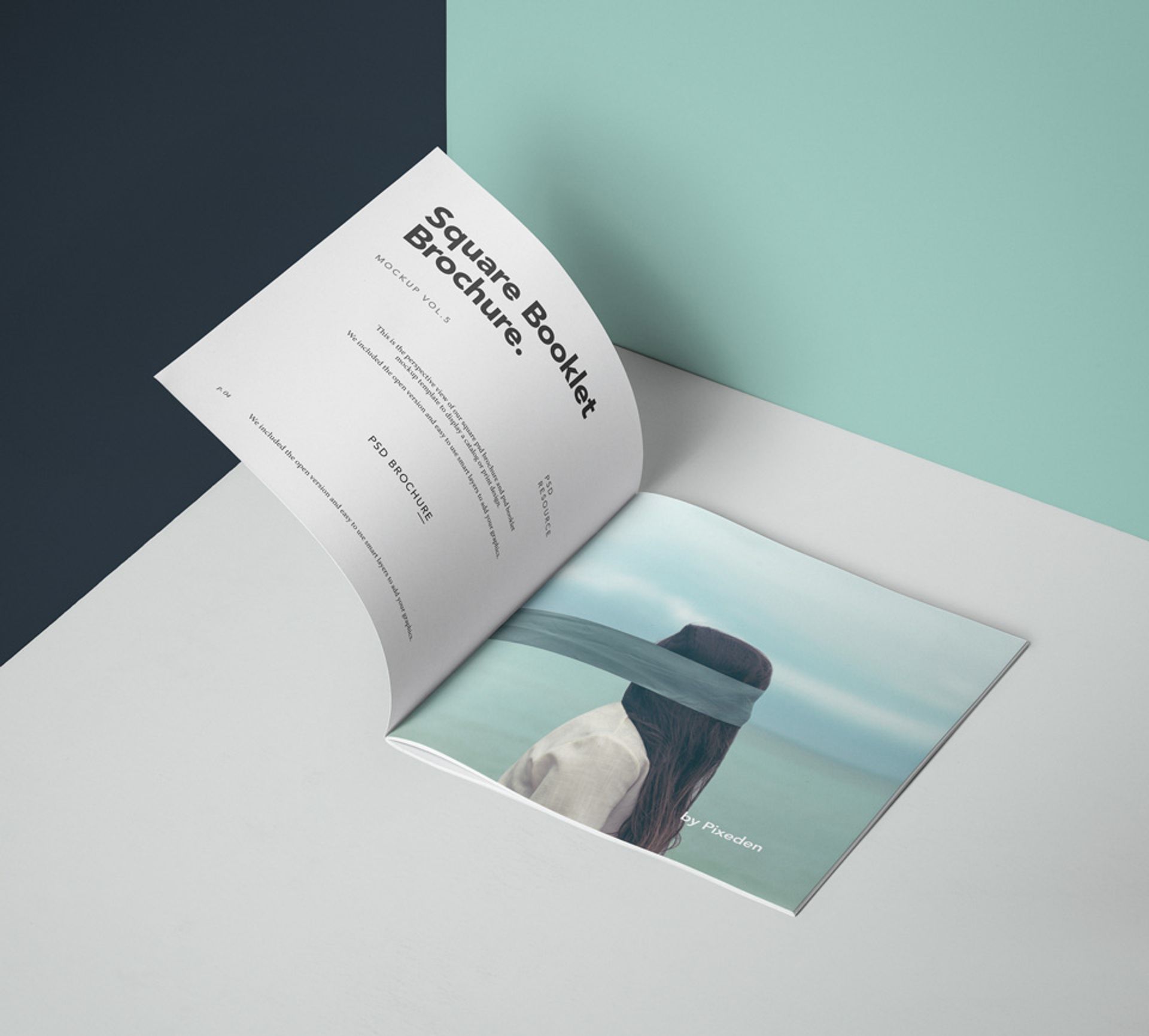 Brochures